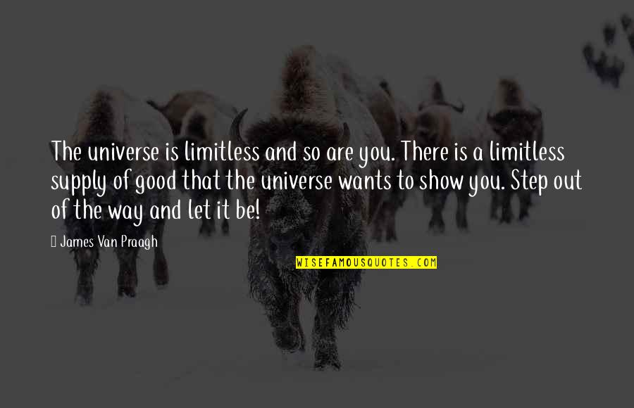 Dirty Little Secrets Quotes By James Van Praagh: The universe is limitless and so are you.