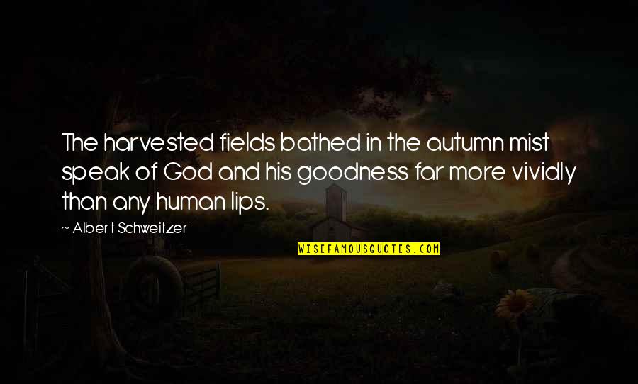 Dirty Pick Up Lines Quotes By Albert Schweitzer: The harvested fields bathed in the autumn mist