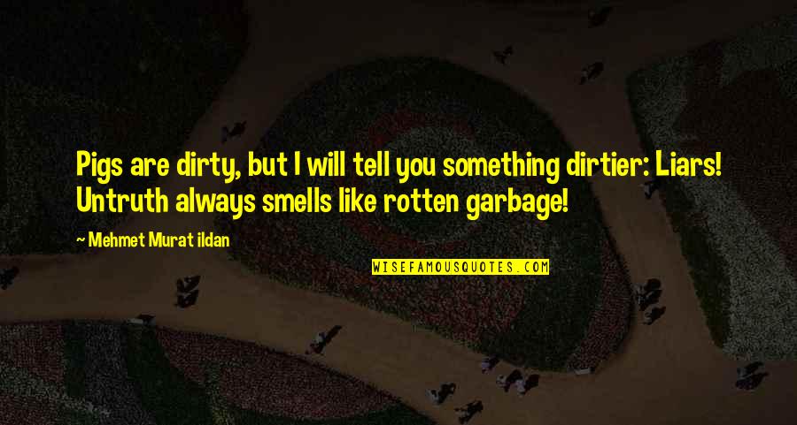 Dirty Quotes By Mehmet Murat Ildan: Pigs are dirty, but I will tell you