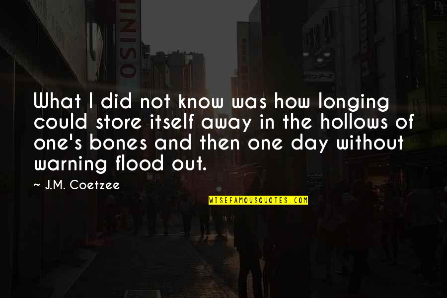 Dirty Reindeer Quotes By J.M. Coetzee: What I did not know was how longing