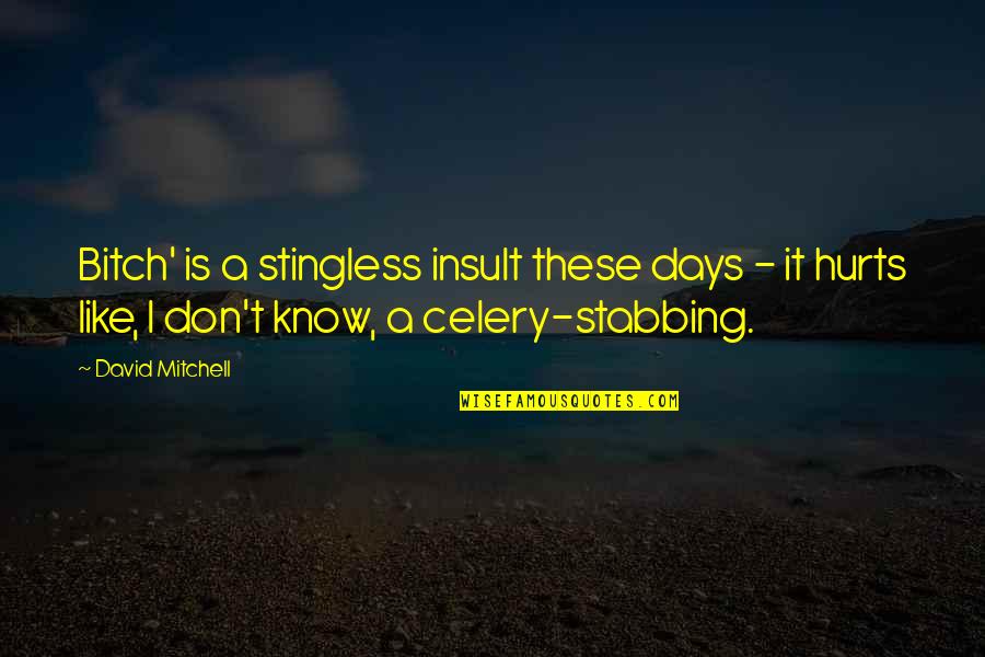 Dirty Rotten Scoundrel Quotes By David Mitchell: Bitch' is a stingless insult these days -
