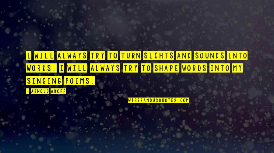 Disability Advocate Quotes By Arnold Adoff: I will always try to turn sights and