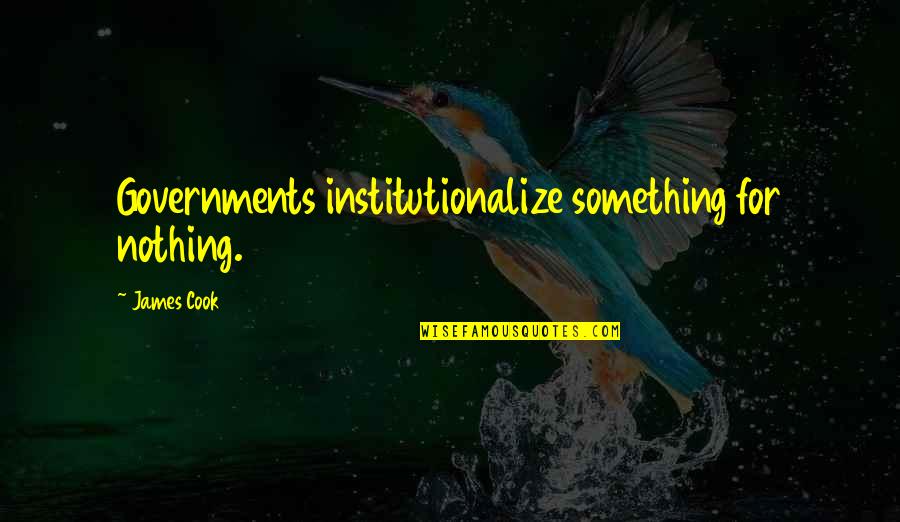 Disability Justice Quotes By James Cook: Governments institutionalize something for nothing.