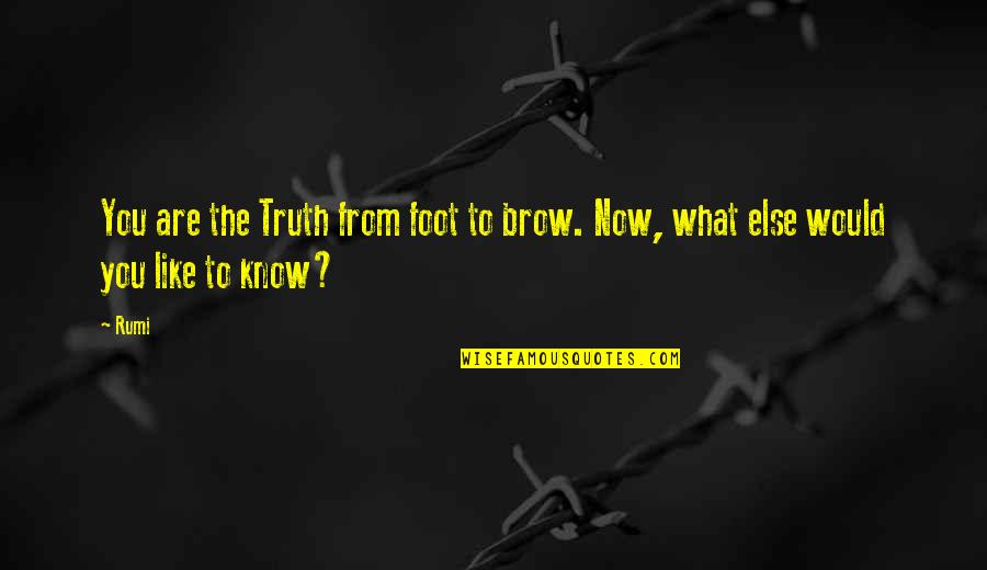 Disability Studies Quotes By Rumi: You are the Truth from foot to brow.