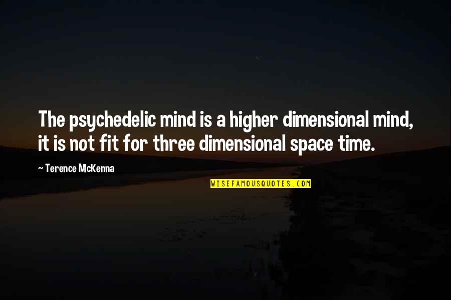 Disabled Veteran Memorial Quotes By Terence McKenna: The psychedelic mind is a higher dimensional mind,
