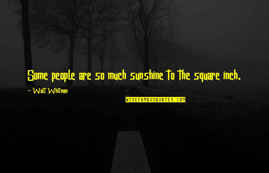 Disagreeable Synonyms Quotes By Walt Whitman: Some people are so much sunshine to the