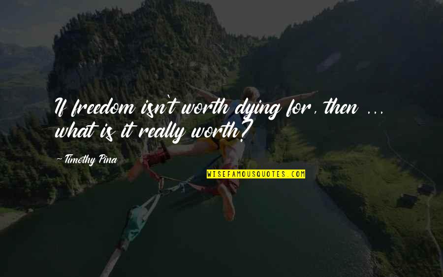 Disapointment Quotes By Timothy Pina: If freedom isn't worth dying for, then ...