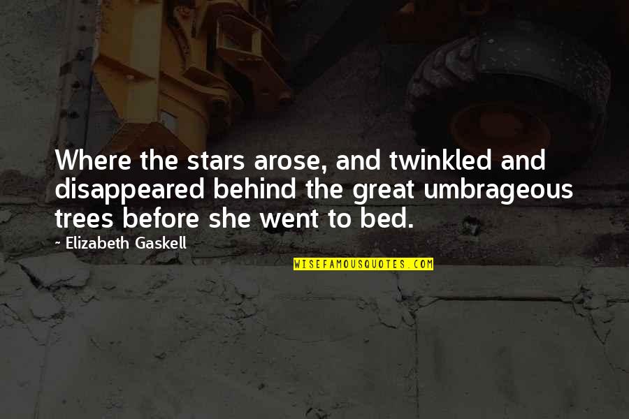 Disappeared Quotes By Elizabeth Gaskell: Where the stars arose, and twinkled and disappeared