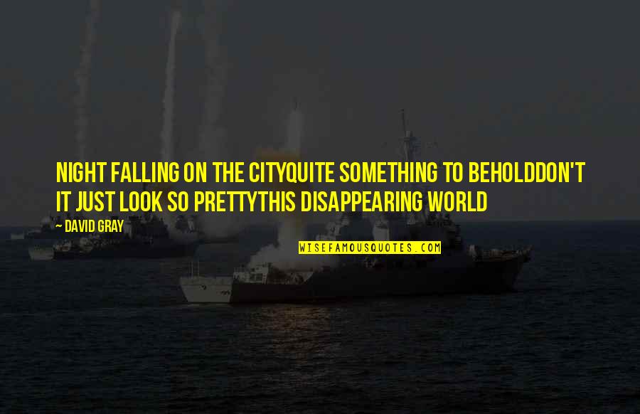 Disappearing From The World Quotes By David Gray: Night falling on the cityQuite something to beholdDon't