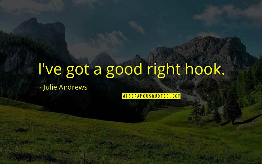 Disappearing Tumblr Quotes By Julie Andrews: I've got a good right hook.