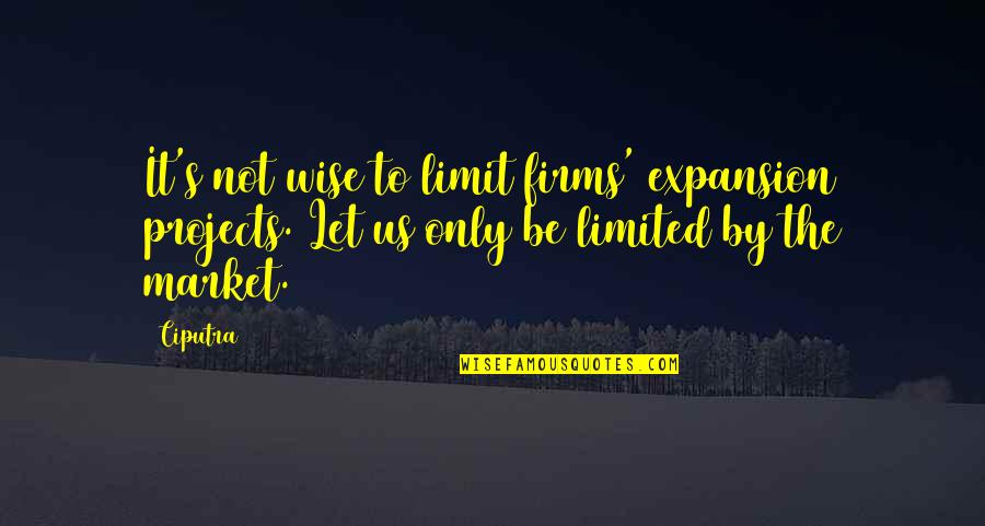 Disappointed In My Sister Quotes By Ciputra: It's not wise to limit firms' expansion projects.