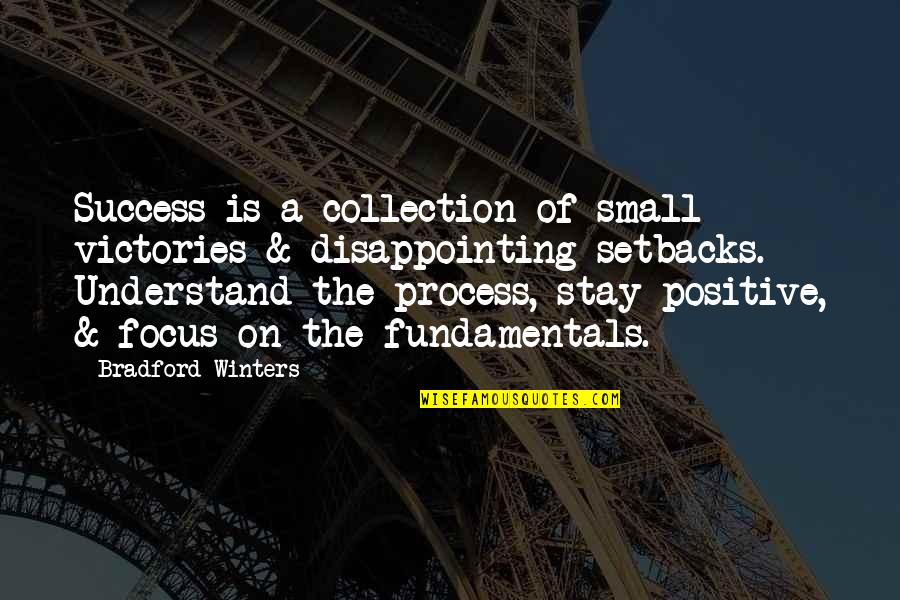 Disappointing Quotes By Bradford Winters: Success is a collection of small victories &