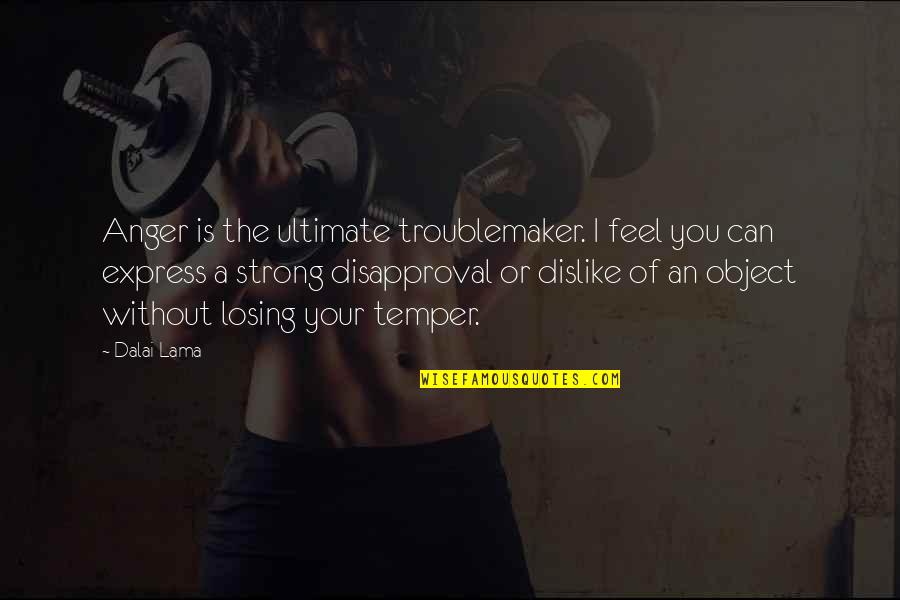 Disapproval Quotes By Dalai Lama: Anger is the ultimate troublemaker. I feel you