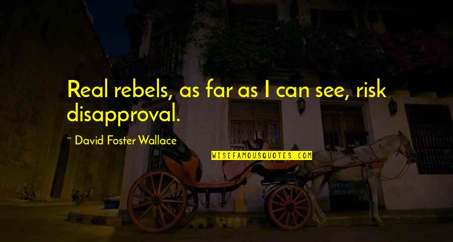 Disapproval Quotes By David Foster Wallace: Real rebels, as far as I can see,