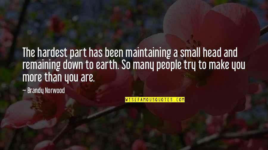 Disapprovals Quotes By Brandy Norwood: The hardest part has been maintaining a small