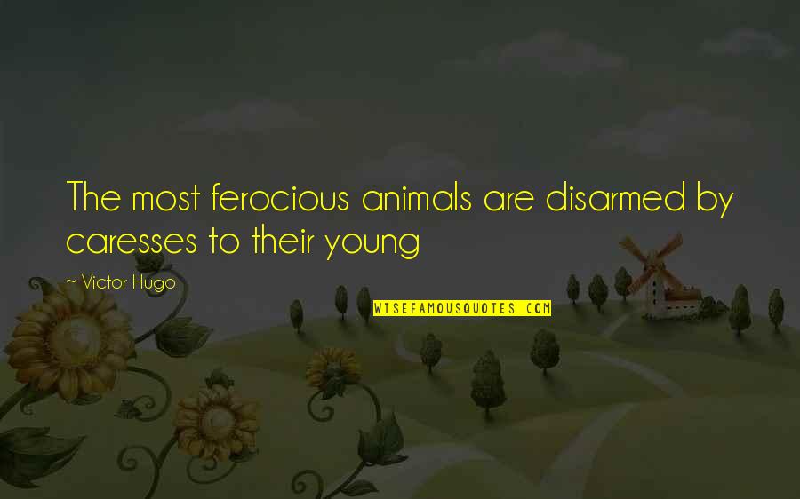 Disarmed Quotes By Victor Hugo: The most ferocious animals are disarmed by caresses
