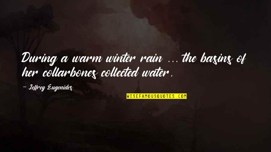 Disarmer Quotes By Jeffrey Eugenides: During a warm winter rain ... the basins