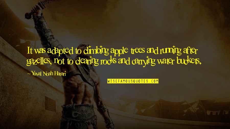 Discernimento Definicao Quotes By Yuval Noah Harari: It was adapted to climbing apple trees and Discernimento Definicao Quotes By Yuval Noah Harari: It was adapted to climbing apple trees and