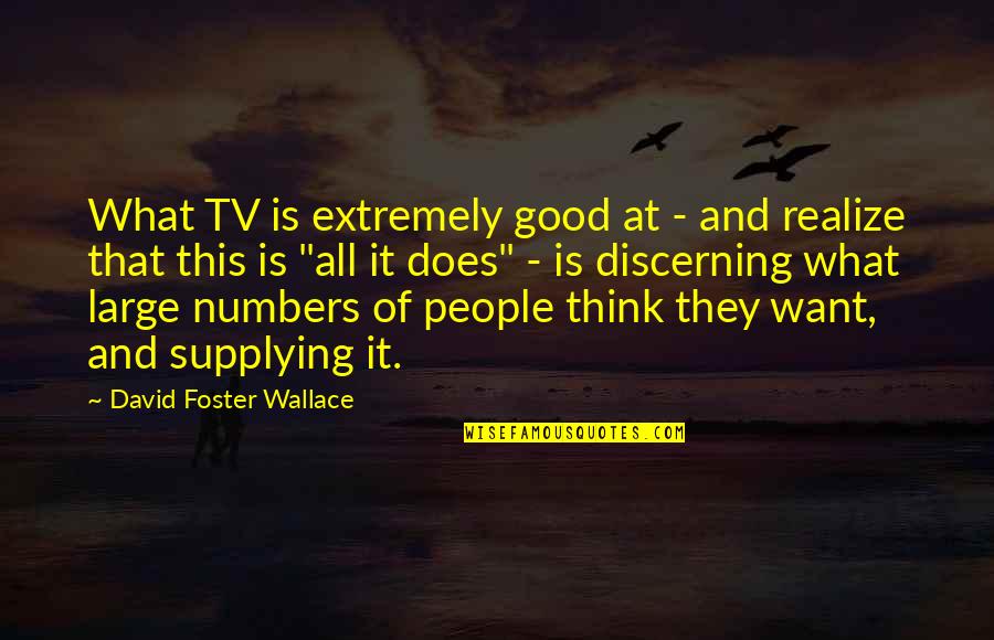 Discerning Quotes By David Foster Wallace: What TV is extremely good at - and