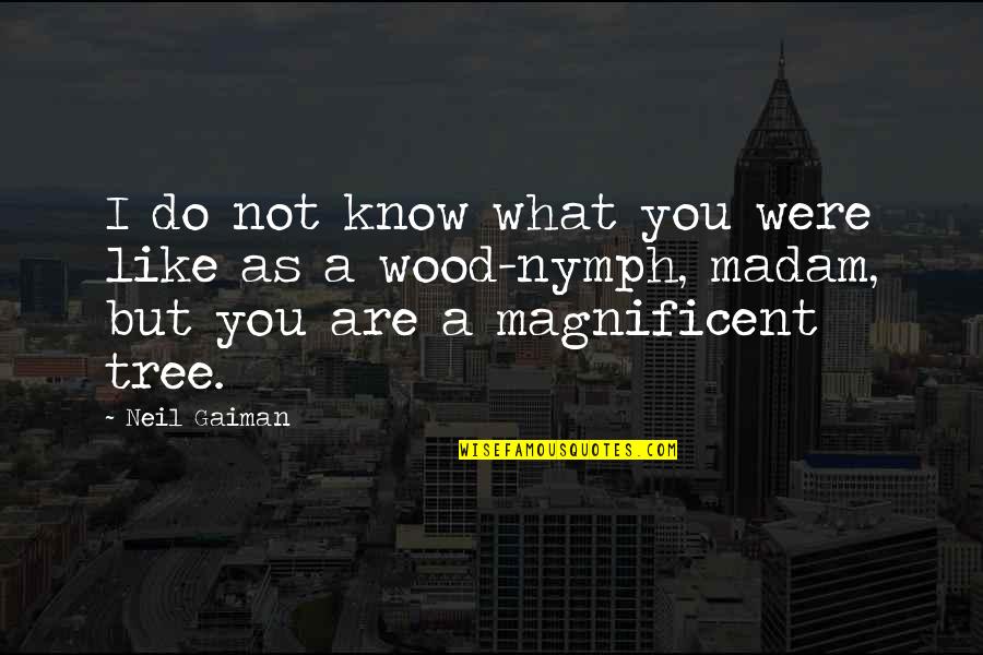 Discharge Before Period Quotes By Neil Gaiman: I do not know what you were like