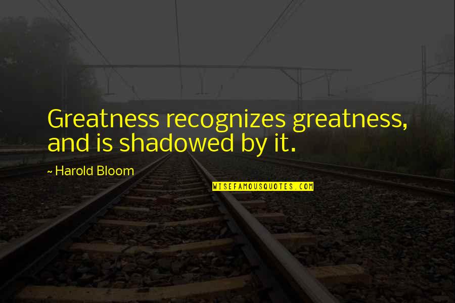 Discipleship Continuity Quotes By Harold Bloom: Greatness recognizes greatness, and is shadowed by it.