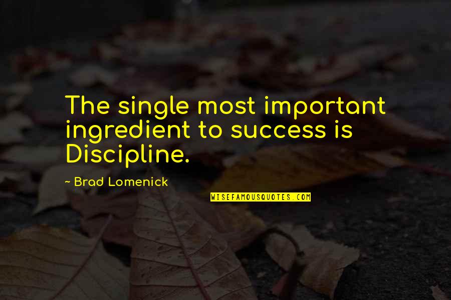 Discipline And Success Quotes By Brad Lomenick: The single most important ingredient to success is