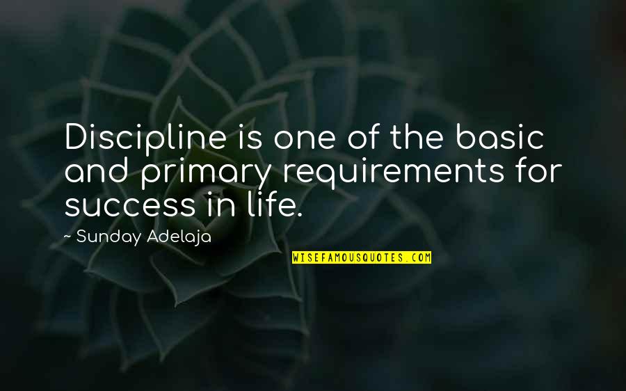 Discipline And Success Quotes By Sunday Adelaja: Discipline is one of the basic and primary