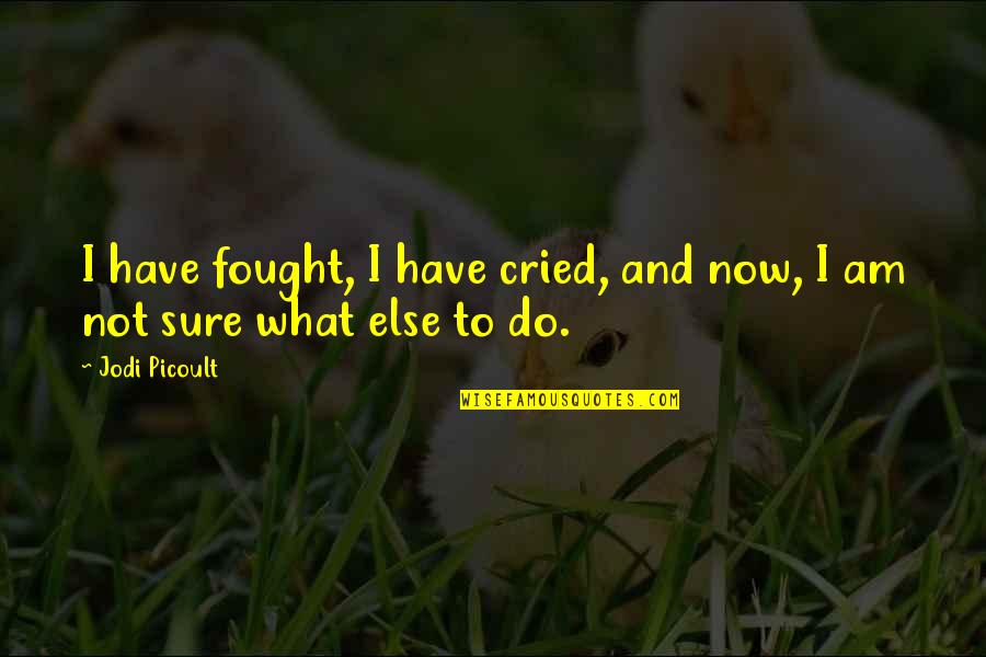 Discipline In Hindi Quotes By Jodi Picoult: I have fought, I have cried, and now,