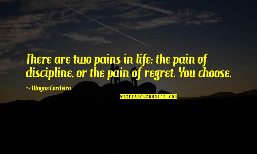 Discipline In Life Quotes By Wayne Cordeiro: There are two pains in life: the pain