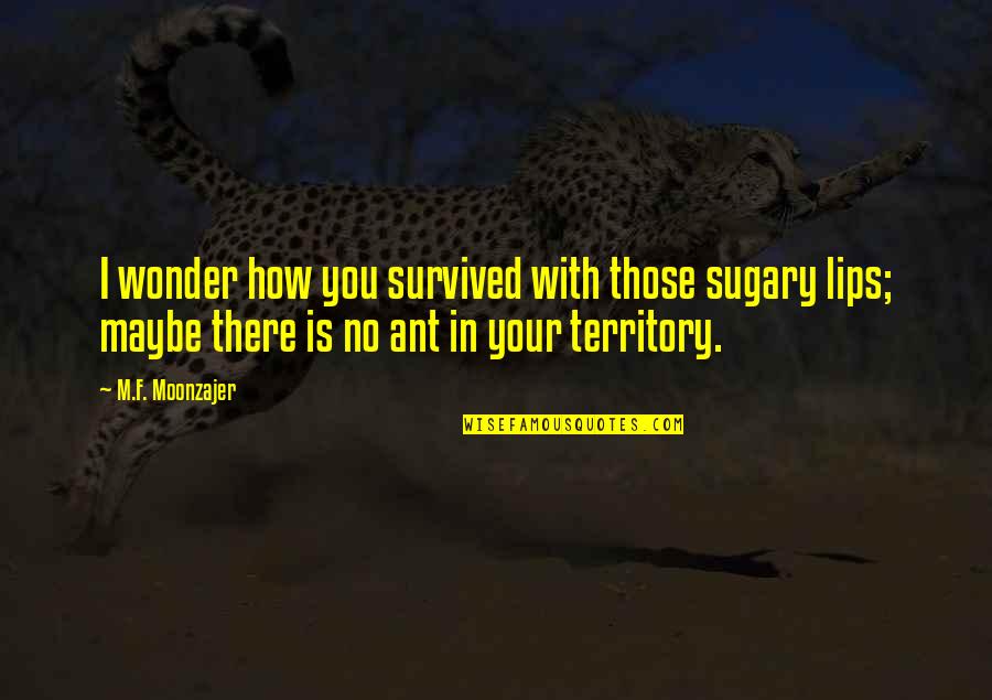 Discipline In Student Life Quotes By M.F. Moonzajer: I wonder how you survived with those sugary