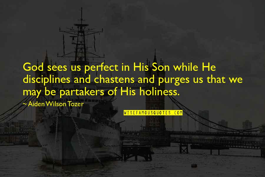 Disciplines Quotes By Aiden Wilson Tozer: God sees us perfect in His Son while