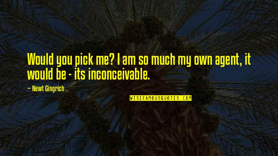 Disclaimers Samples Quotes By Newt Gingrich: Would you pick me? I am so much