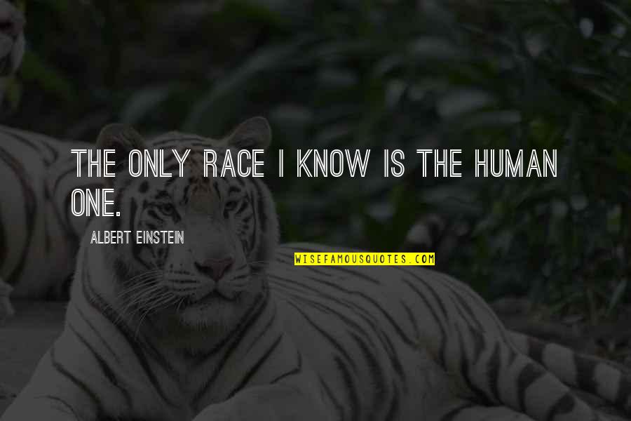 Discomfitted Quotes By Albert Einstein: The only race I know is the human