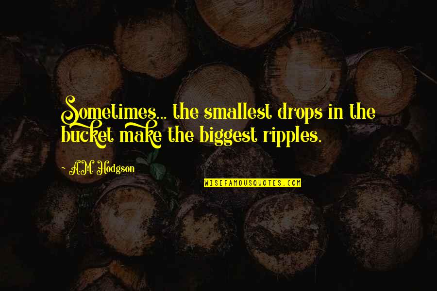 Discomfiture Synonym Quotes By A.M. Hodgson: Sometimes... the smallest drops in the bucket make