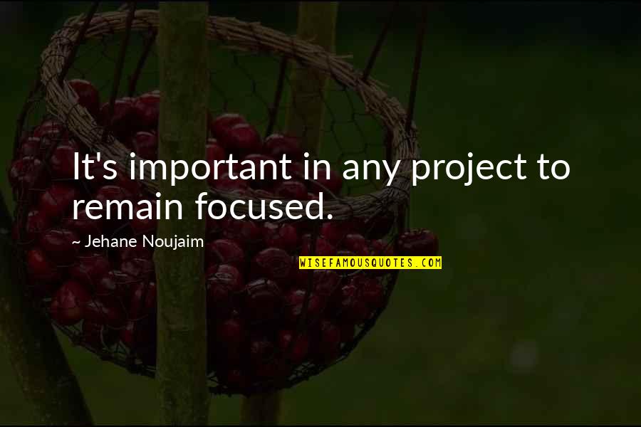 Discontinuation Quotes By Jehane Noujaim: It's important in any project to remain focused.