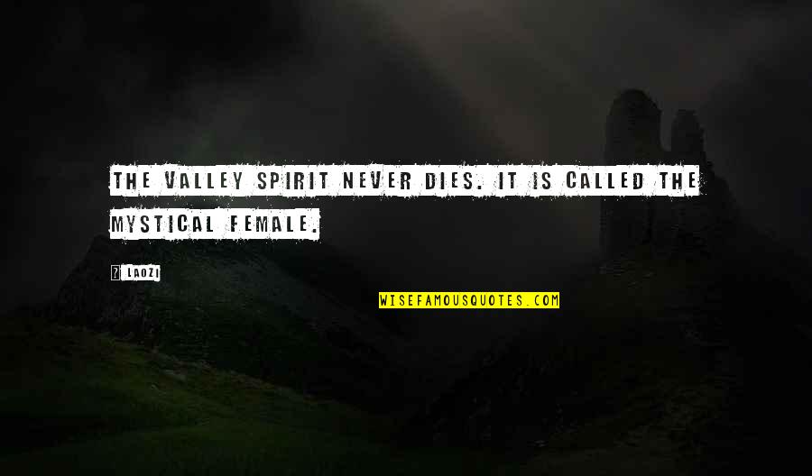 Discontinuous Quotes By Laozi: The valley spirit never dies. It is called