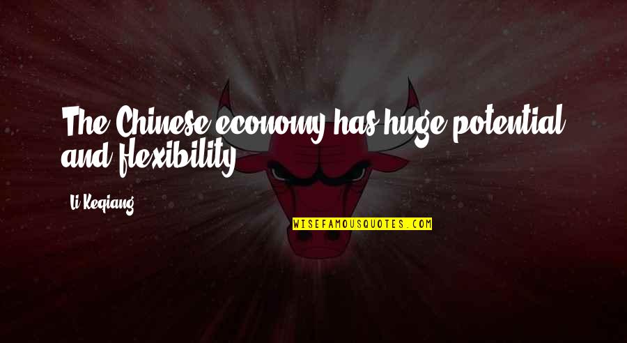 Discourage Quotes Quotes By Li Keqiang: The Chinese economy has huge potential and flexibility.