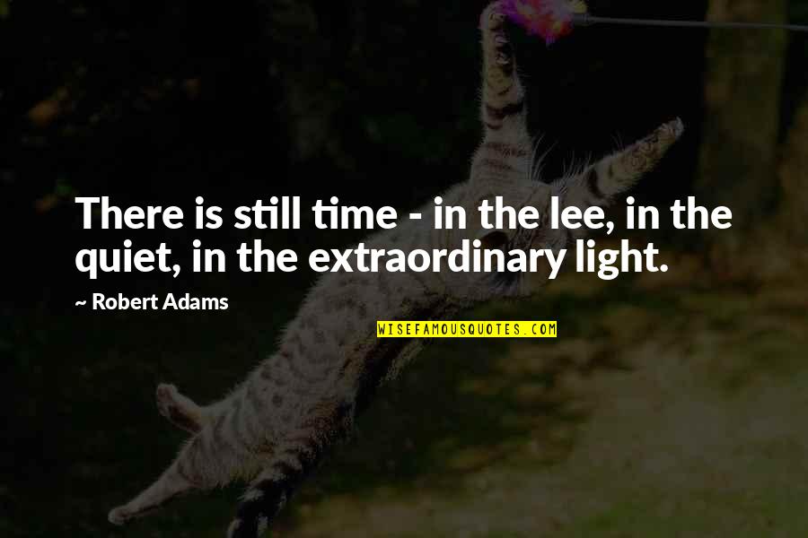 Discovering Lies Quotes By Robert Adams: There is still time - in the lee,
