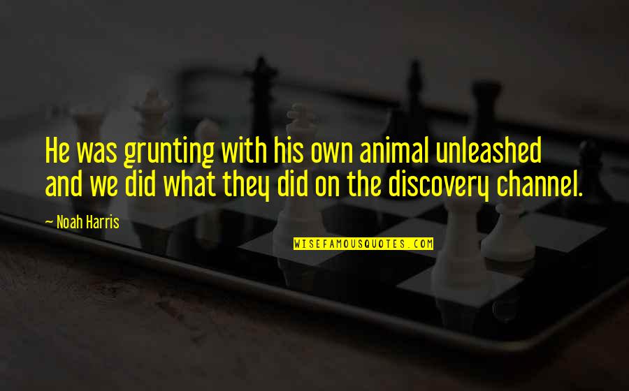 Discovery Channel Quotes By Noah Harris: He was grunting with his own animal unleashed Discovery Channel Quotes By Noah Harris: He was grunting with his own animal unleashed