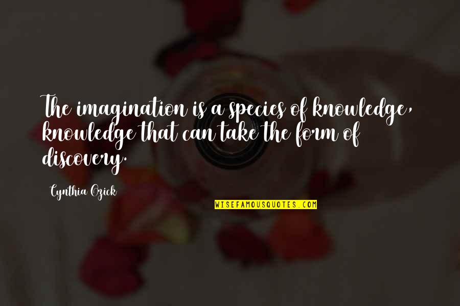 Discovery Quotes By Cynthia Ozick: The imagination is a species of knowledge, knowledge