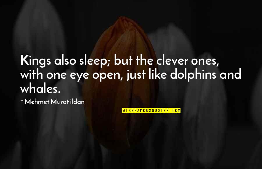 Discrepar Diferir Quotes By Mehmet Murat Ildan: Kings also sleep; but the clever ones, with Discrepar Diferir Quotes By Mehmet Murat Ildan: Kings also sleep; but the clever ones, with