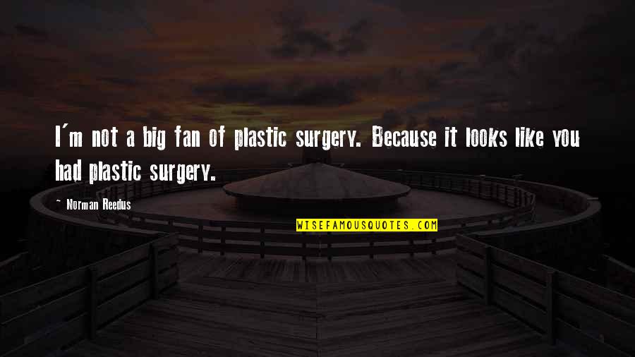 Discus Thrower Quotes By Norman Reedus: I'm not a big fan of plastic surgery.