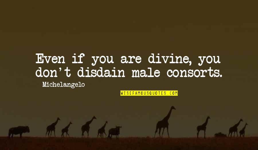 Disdain Quotes By Michelangelo: Even if you are divine, you don't disdain