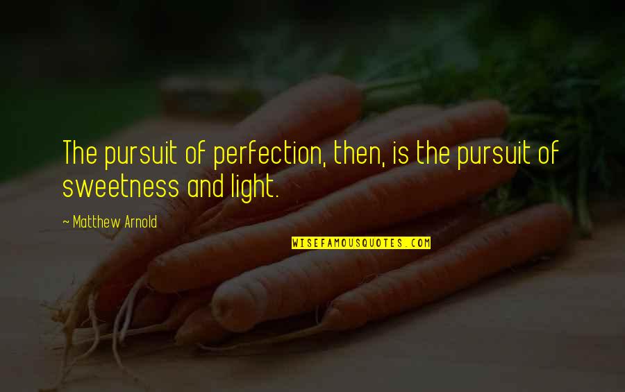 Disdayn Quotes By Matthew Arnold: The pursuit of perfection, then, is the pursuit