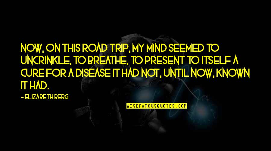 Disease Cure Quotes By Elizabeth Berg: Now, on this road trip, my mind seemed