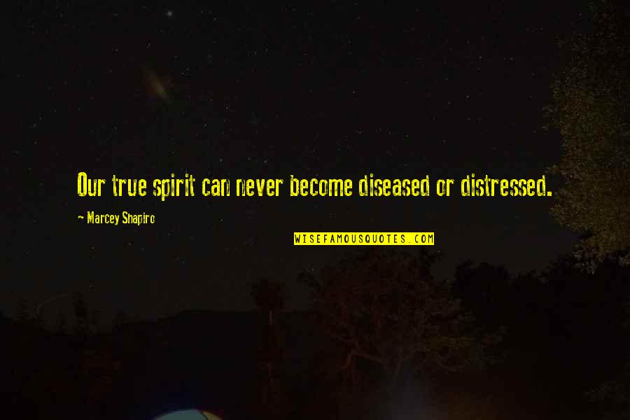 Diseased Quotes By Marcey Shapiro: Our true spirit can never become diseased or