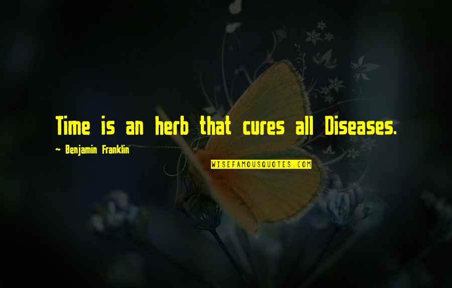 Diseases And Cures Quotes By Benjamin Franklin: Time is an herb that cures all Diseases.