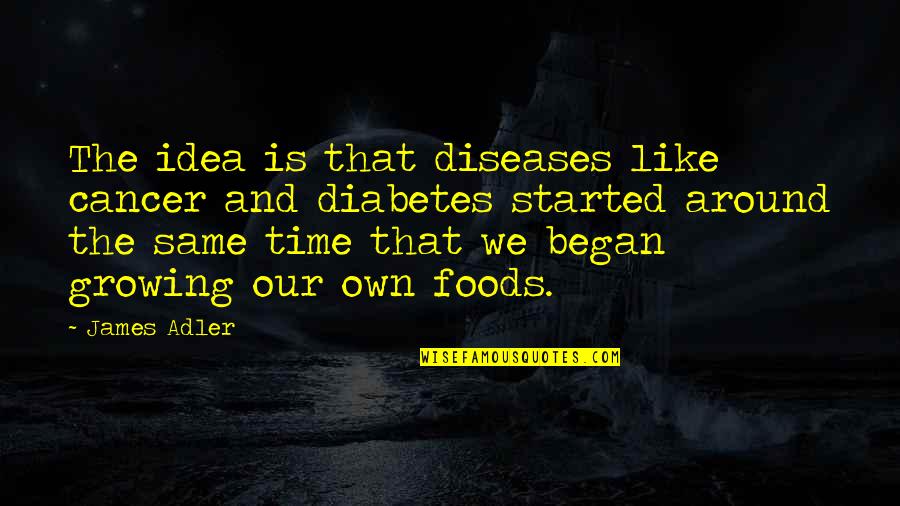 Diseases Are Contagious Quotes By James Adler: The idea is that diseases like cancer and Diseases Are Contagious Quotes By James Adler: The idea is that diseases like cancer and