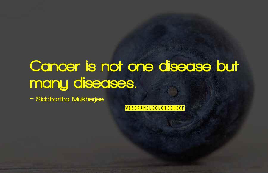Diseases Quotes By Siddhartha Mukherjee: Cancer is not one disease but many diseases.