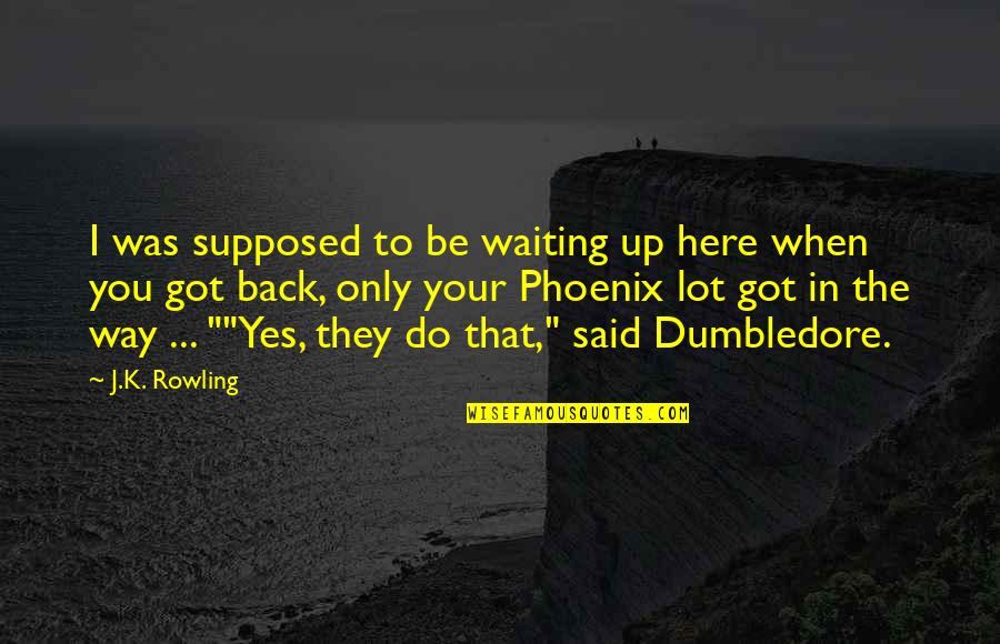 Disembarrass Synonyms Quotes By J.K. Rowling: I was supposed to be waiting up here